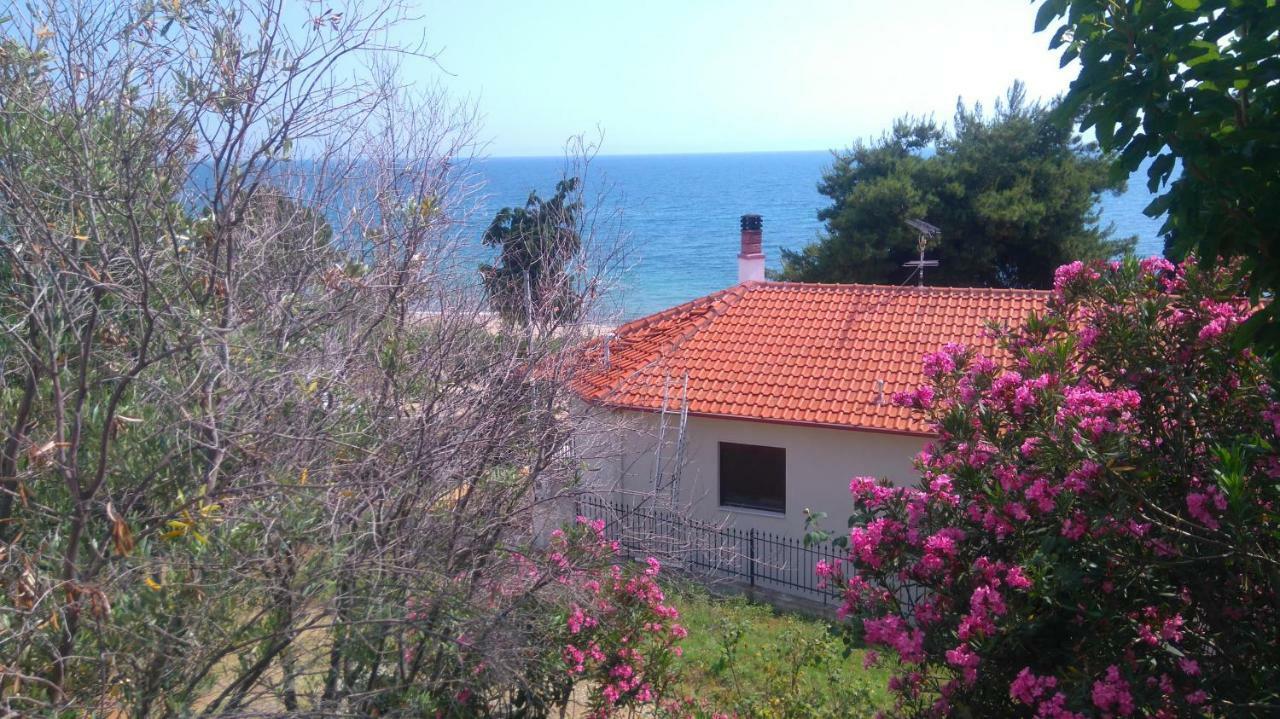 Maisonette Close To The Beach Nikiti  Exterior photo